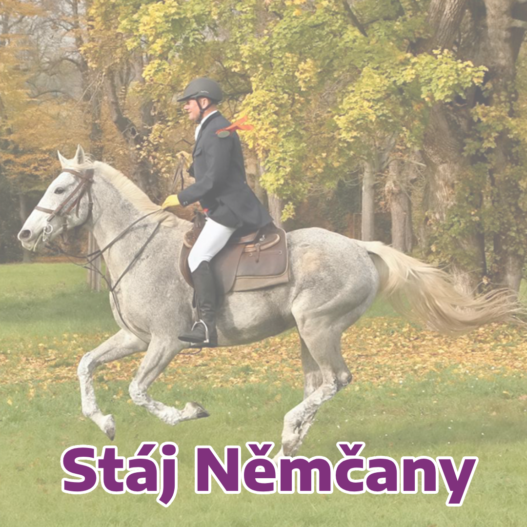 STÁJ NĚMČANY